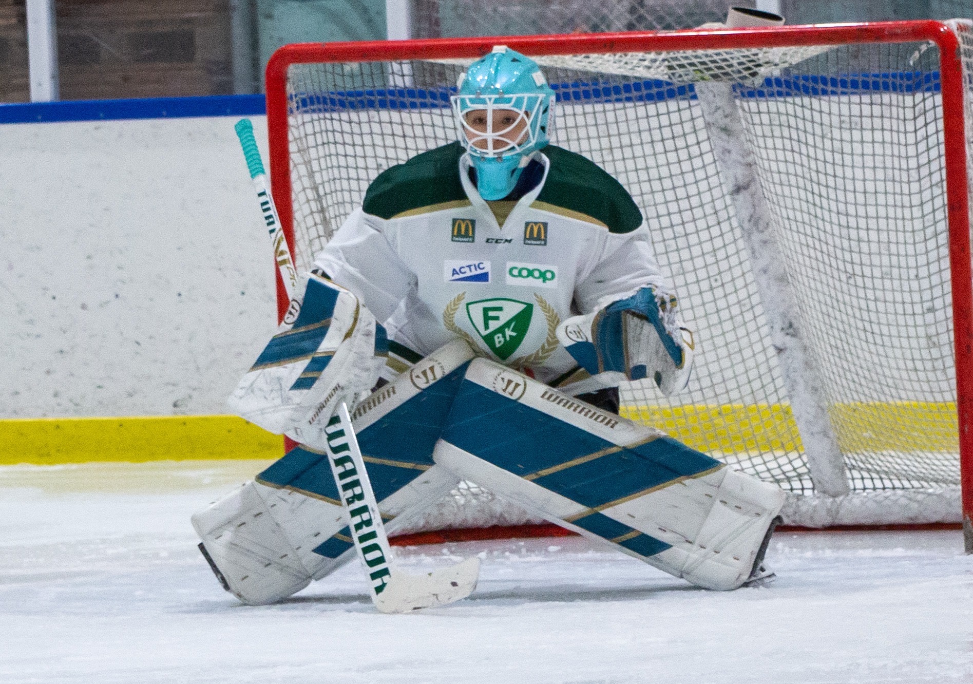 アイスホッケー女子日本代表が2022北京五輪出場権を獲得しました 株式会社デンソー北海道