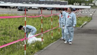 記事のサムネイル画像